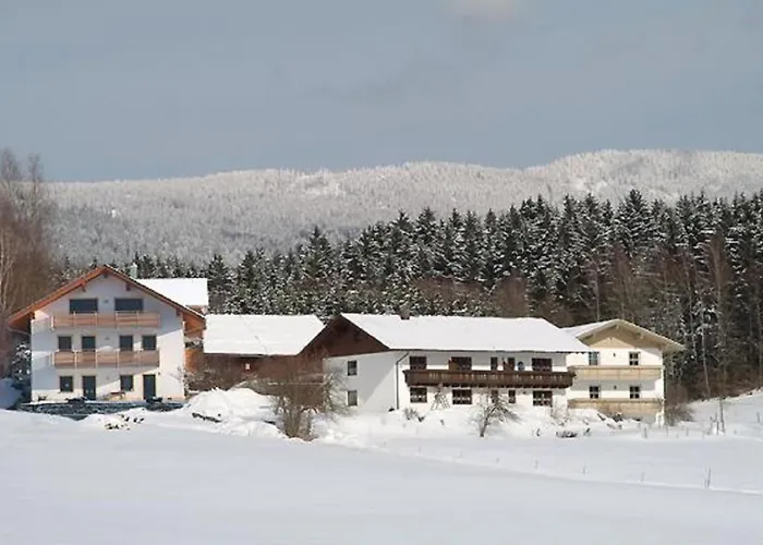 Exenbacher Hof Venkovský dům Arnbruck